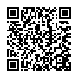 摸了摸手上尾指上带着的那个银白色的遥感通讯戒指二维码生成
