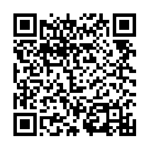摸出手机打开镜头慢慢的从墙角探出去那么一个镜头角二维码生成