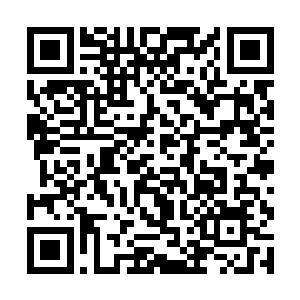 摸到那软绵绵的兽皮和兽皮包裹着的热度正常的皮肤二维码生成