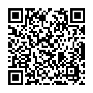 撒多的目光在小白和许响的身上来回扫视了几眼道二维码生成