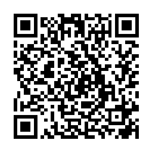 撒德界主没有想到我会给晋鹏界主带来这么深的阴影二维码生成