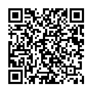 撒旦要成立的公司更需要的是飞行员这类的高级技术兵种二维码生成