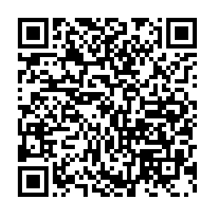 撒旦里面和波洛维奇没见过面的人跟黑魔鬼一起行动在暗中跟着他二维码生成