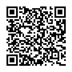 撕裂的缝隙中不时喷涌出了橘红色的岩浆以及黑黢黢的烟柱二维码生成