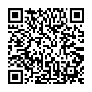 撞出好似极光般绚烂的涟漪那是无数台远程扫描法宝一起开动二维码生成