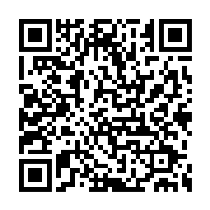 撤离前向所有预定坐标点倾射所有重力干扰鱼雷二维码生成