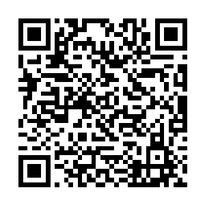 撩起了袖子就要上前去将这个张狂的家伙给海扁一顿二维码生成