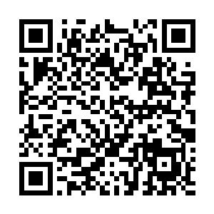 擂台前的众人竟都没有注意到人群中还有两个美丽的女子二维码生成