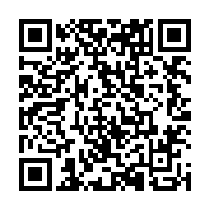 擂台被破坏的这一幕让台下观战的新手们顿时惊呼起来二维码生成