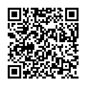 操控着飞船发射了一个类似于章鱼的小型机器人二维码生成