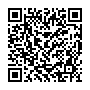 擎天楼的建设军团已经将宇宙网连接到了天网上二维码生成