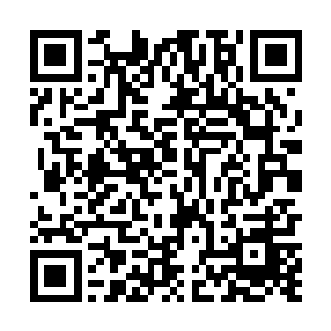 擒拿着苏凡肩膀的那手更是暗暗要被苏凡的猛力所挣开二维码生成