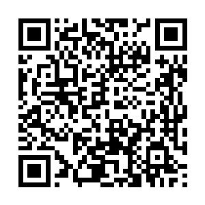 擦肩而过五个行人就可以碰到一个星探或者经纪人二维码生成