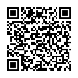 攀爬在墙壁上静悄悄的小家伙们立刻又一个个活动了起来二维码生成