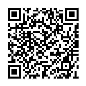 攒下来的那几个蛋我想要给跃进媳妇做月子用呢二维码生成