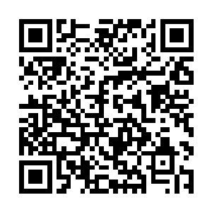 支付演职人员剩余的薪酬以及其他行业协会类等开支二维码生成