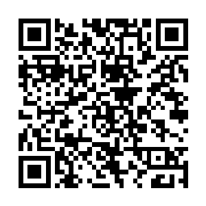 支开的窗扇外就能看到一河之隔的司苑局和番经厂二维码生成