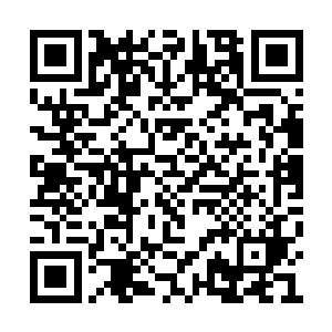 支持他活下去并且修炼下去的动力便是为了复仇二维码生成