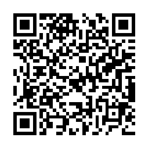 支持龙造寺隆信的大内义隆被他的家臣陶晴贤所杀二维码生成