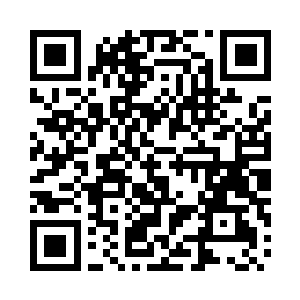 支撑你完成这些计划就必须有大量的财务收入二维码生成