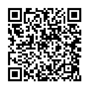 收了礼的绿柳有点神情古怪地盯着苗毅细细打量二维码生成