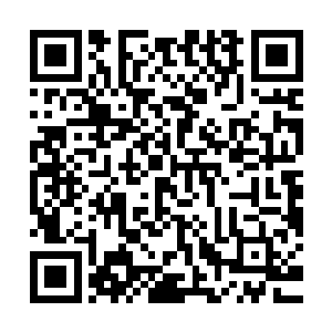 收到了傅念琛警告的眼神后她不在动了抬头看了一眼帝寒的表情二维码生成