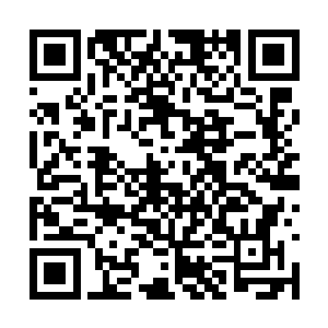 收到了远比我期盼的更多的粉红更多的支持和激励二维码生成