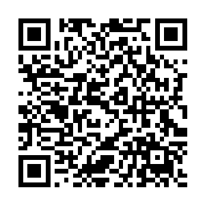 收到信的参将立马调派人手好似不要命的开始冲击起包围圈二维码生成
