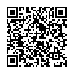 收到黑叶消息的时候他正在恢复身上与忘君大战时留下的伤二维码生成