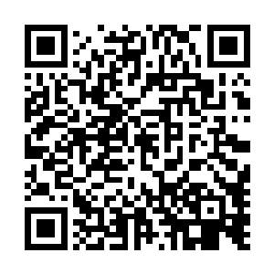 收完了这些书籍之后龙傲天才将目光从这个书架上移了开来二维码生成