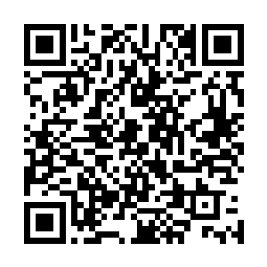 收拾妥当坐在车内静等小加藤君手下送货到骨器店的时间段二维码生成