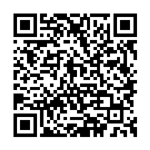 收拾尸体的战士们是有点失望的过来给巴克报告二维码生成