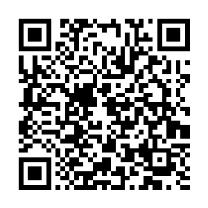 收纳器中直接释放出八万一千两百二十六颗六十阶精灵宝钻二维码生成