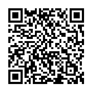 收获诸多好处的佛祖已成为最古老的彼岸者之一二维码生成