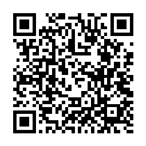 收集到手的极品灵石和极品魔晶加在一起也就仅有不足百块二维码生成