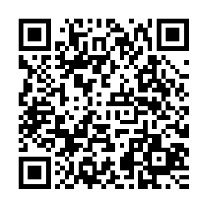 攻打白河谷地的这些势力首脑恐怕接下来的日子没有一个会好过二维码生成