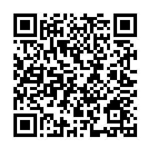 攻防默契的青衣铁卫就全部倒在了他的铁拳之下了二维码生成