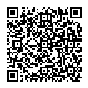 放下了世俗环绕在身边的重重荆棘和戒备……珍妮一直觉得自己算是很爱电影的了二维码生成