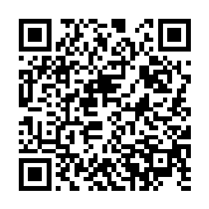 放下手头的事情便赶紧来到猴子房间亲手呈予猴子二维码生成