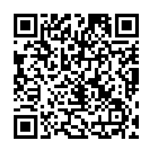 放了他们肯定会被他们的主人带走继续做人家的杀人工具二维码生成