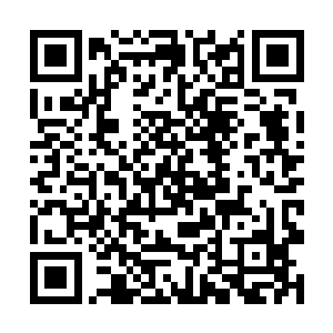 放在了三环高塔中唯一的传奇巫师雷曼的半位面之中二维码生成