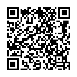 放在官网上供所有人点击观看……眼看这差距是越拉越大二维码生成