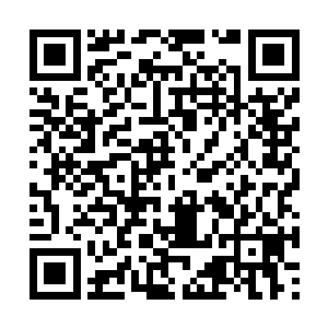 放在床上不到三十秒钟就开始秀起了她嘹亮的嗓门二维码生成