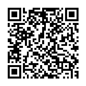 放在架子上的东西烤熟就被龙战眨眼间风卷残云一般吞进肚子二维码生成
