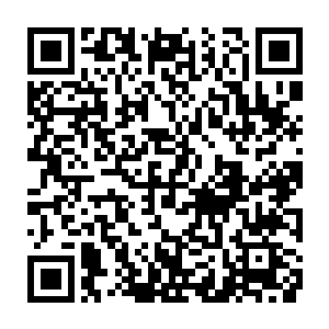 放在欢喜哥口袋里的一枚血珠好像受到了什么召唤一般飞到了小胖的面前二维码生成