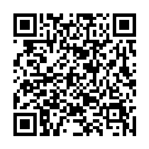 放在穆扬灵房间里的账册就出现在了皇帝的案桌上二维码生成