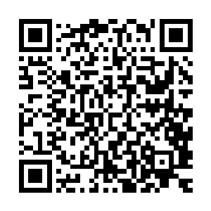 放在这么多人的地方拍卖万一出现什么意外的话这个责任谁承担二维码生成
