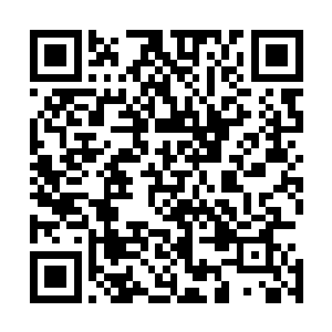 放学回家之后也因为和小秋之间发生的事没来得及去看剧本二维码生成