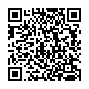 放弃了心底那还没来得及涌现就被掐灭的当英雄的想法二维码生成