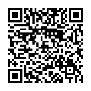 放眼圣界四十九大洲八十一大星上的任何一处地方二维码生成